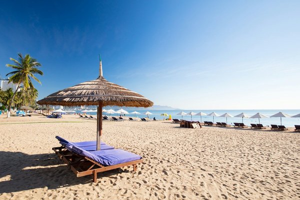 Gesundheitstipps für Haustiere um Erfolg zu garantieren